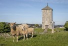 Avaldsnes kirke - Foto thumbnail